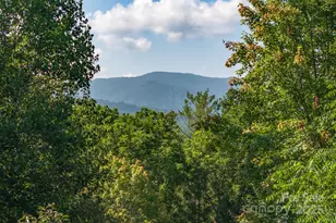 212 Blue Ridge Vista, Asheville, NC 28805 - Photo 3