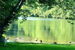 150 Navaho Trail, Rutherfordton, NC 28139 - Photo 23