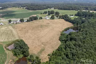 1497 White Store Rd, Pageland, SC 29728 - Photo 3