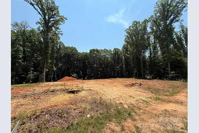 219 Barra Drive, Waxhaw, NC 28173 - Photo 19