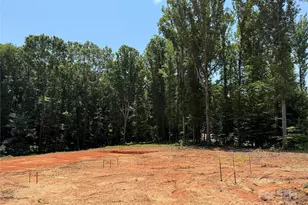 219 Barra Dr, Waxhaw, NC 28173 - Photo 21