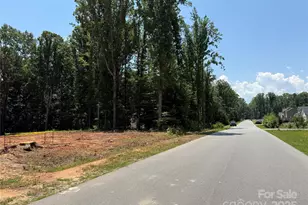 219 Barra Dr, Waxhaw, NC 28173 - Photo 11