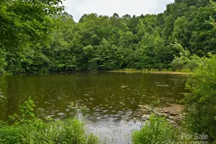 472 Hidden Valley Rd, Clyde, NC 28721 - Photo 39