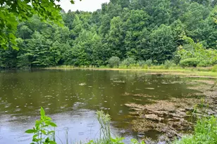 472 Hidden Valley Rd, Clyde, NC 28721 - Photo 41