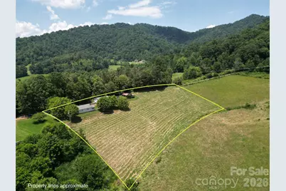 560 Bailey Mountain Road, Mars Hill, NC 28754 - Photo 3