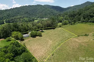 560 Bailey Mountain Rd, Mars Hill, NC 28754 - Photo 3