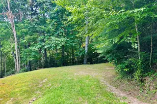 236 Valley View Dr, Topton, NC 28781 - Photo 23