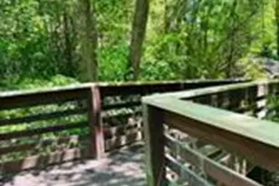 20305 Queensdale Dr, Cornelius, NC 28031 - Photo 43