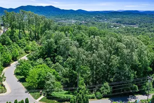 44 Samuel Ashe Dr, Asheville, NC 28805 - Photo 27