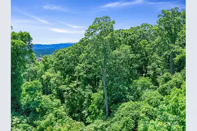 44 Samuel Ashe Drive #55, Asheville, NC 28805 - Photo 17