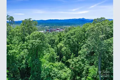 44 Samuel Ashe Drive #55, Asheville, NC 28805 - Photo 23