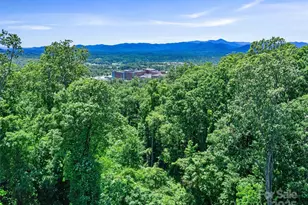 44 Samuel Ashe Dr, Asheville, NC 28805 - Photo 23