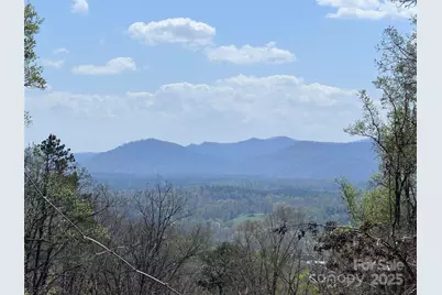 44 Samuel Ashe Drive #55, Asheville, NC 28805 - Photo 5