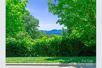 44 Samuel Ashe Drive #55, Asheville, NC 28805 - Photo 21