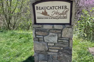 44 Samuel Ashe Dr, Asheville, NC 28805 - Photo 7