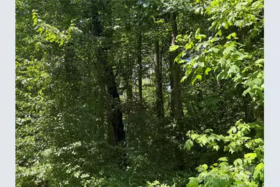 Lot 37 Mountain Brook Trail #37, Brevard, NC 28712 - Photo 9