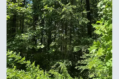 Lot 37 Mountain Brook Trail #37, Brevard, NC 28712 - Photo 11