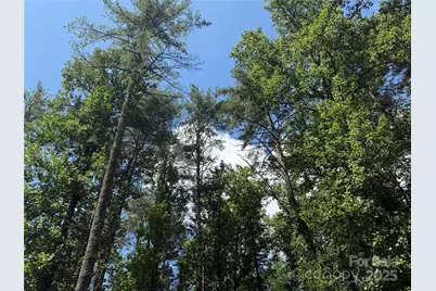 Lot 37 Mountain Brook Trail #37, Brevard, NC 28712 - Photo 7