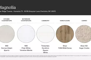 10036 Greystar Ln, Charlotte, NC 28213 - Photo 3