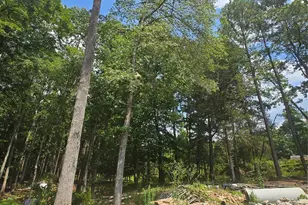 2150 Pressley Rd, Chester, SC 29706 - Photo 13