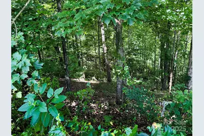 35 Ladys Fern Trail, Hendersonville, NC 28739 - Photo 5