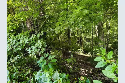 35 Ladys Fern Trail, Hendersonville, NC 28739 - Photo 7