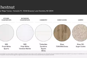 10048 Greystar Ln, Charlotte, NC 28213 - Photo 3