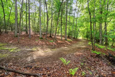 52 Dividing Ridge Trail, Arden, NC 28704 - Photo 5