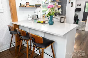 18 Jarrett St, Asheville, NC 28806 - Photo 9