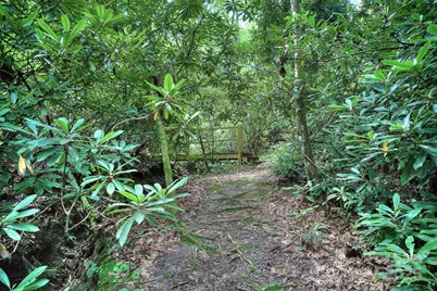 554 Pisgah Forest Drive, Pisgah Forest, NC 28768 - Photo 43