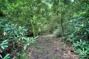 554 Pisgah Forest Dr, Pisgah Forest, NC 28768 - Photo 43