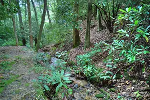 554 Pisgah Forest Dr, Pisgah Forest, NC 28768 - Photo 47