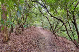 554 Pisgah Forest Dr, Pisgah Forest, NC 28768 - Photo 41