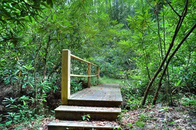 554 Pisgah Forest Drive, Pisgah Forest, NC 28768 - Photo 45