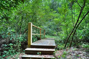 554 Pisgah Forest Dr, Pisgah Forest, NC 28768 - Photo 45