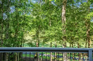193 Downing Pl, Lake Lure, NC 28746 - Photo 23