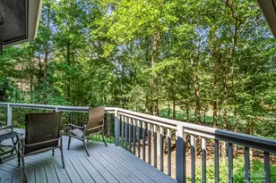 193 Downing Pl, Lake Lure, NC 28746 - Photo 21