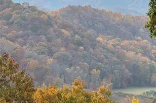 2311 Old Mountain Rd, Mars Hill, NC 28754 - Photo 7