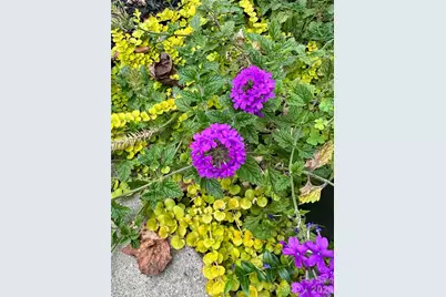 227 Reep Drive, Morganton, NC 28655 - Photo 47