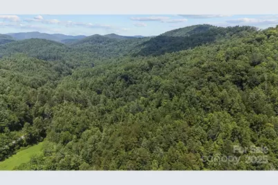 1296 Sheets Gap Road, Millers Creek, NC 28651 - Photo 11
