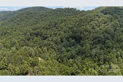1296 Sheets Gap Road, Millers Creek, NC 28651 - Photo 3