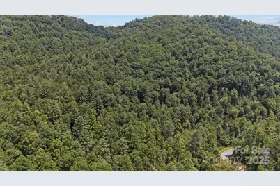 1296 Sheets Gap Road, Millers Creek, NC 28651 - Photo 7