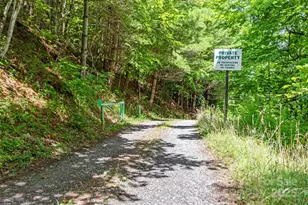 000 Eagle Bridge Rd, Burnsville, NC 28714 - Photo 3