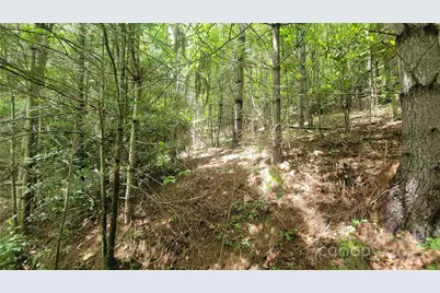 000 Eagle Bridge Road, Burnsville, NC 28714 - Photo 11