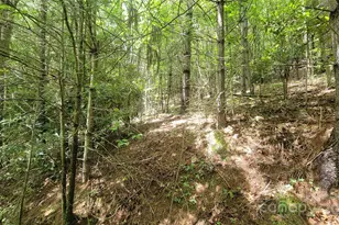 000 Eagle Bridge Rd, Burnsville, NC 28714 - Photo 11