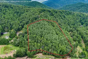 000 Eagle Bridge Rd, Burnsville, NC 28714 - Photo 7