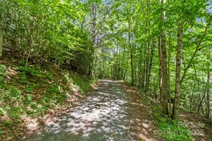 000 Eagle Bridge Rd, Burnsville, NC 28714 - Photo 5