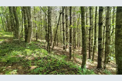 000 Eagle Bridge Road, Burnsville, NC 28714 - Photo 1