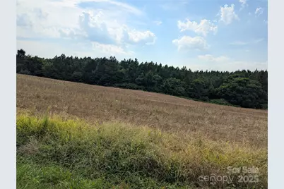 1455 Blonnie Ross Road, Polkton, NC 28135 - Photo 3