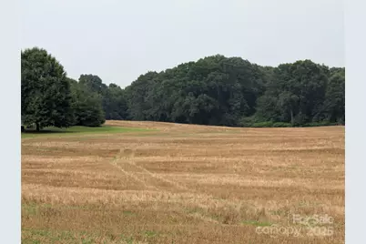 1455 Blonnie Ross Road, Polkton, NC 28135 - Photo 5